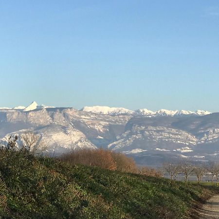 Gites&Chambres D Hotes Les Granges Du Fournel Saint-Lattier Exterior foto